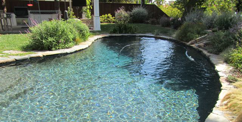 Pool Replaster and Remodel  - Golden Meadow Project #3