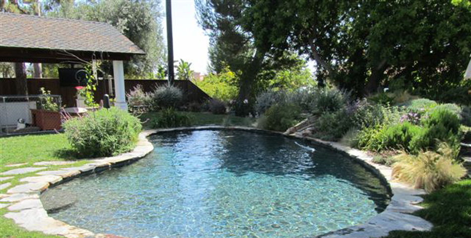 Pool Replaster and Remodel  - Golden Meadow Project # 2