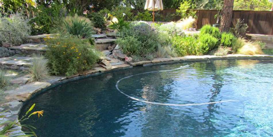 Pool Replaster and Remodel  - Golden Meadow Project #4